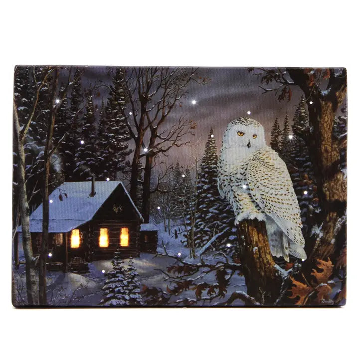 TT Snowy Owl  -8"x6" Light-Up Canvas Wall/Tabletop Picture Art