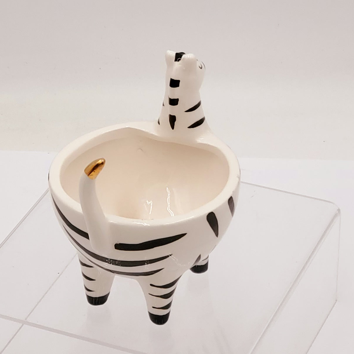 Dashing Zebra Jewelry Holder