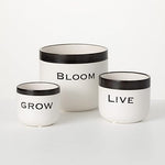 Sullivans Large Fun Text Planter Set, Home Décor Accents, Living Room Décor and Accessories, Table and Mantle Decorations