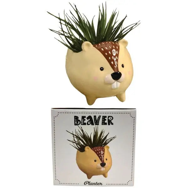 Woodland Beaver 6" Planter - the Busy Beaver - Ceramic Planter