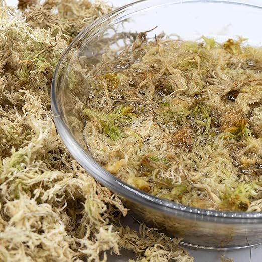 Long Fiber Sphagnum Moss, Naturally Air Dried, Great Orchid Medium, Perfect for Rooting Plants and Cuttings, 10oz(Appx.34QT)