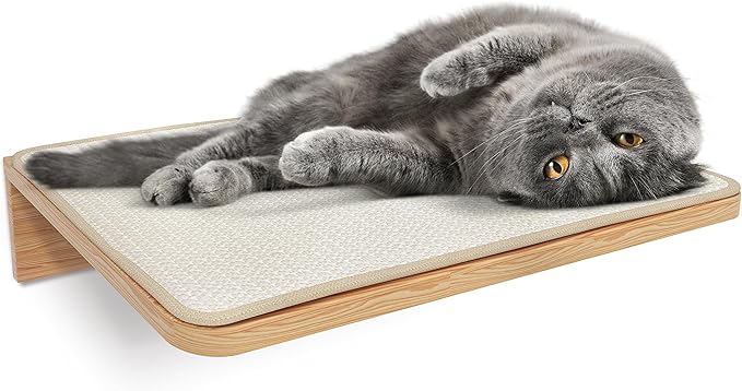 Cat Wall Shelf with Cat Scratching Mat, Cat Wall Furniture, Wood Shelves Wall Mounted Beds for Jumping, Sleeping, Playing, Climbing (Shelf)