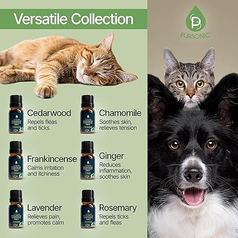 Pet Friendly Essential Oil Collection- 6 Pack