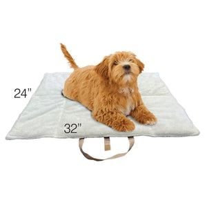 Portable 2-in-1 Folding Pet Mat and Tote Bag