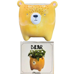 Woodland Bear 6" Planter - the Honey Bear - Ceramic