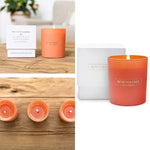 Benevolence Los Angeles - 7.5 Ounce Essential Oil Candle - Hibiscus and Palm Wood