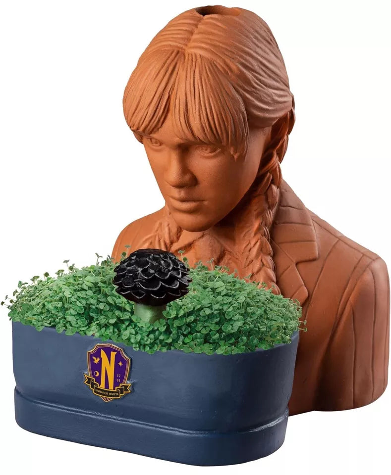 Chia Pet Wednesday with Seed Pack, Decorative Pottery Planter, Easy to Do and Fun to Grow, Novelty Gift, Perfect for Any Occasion